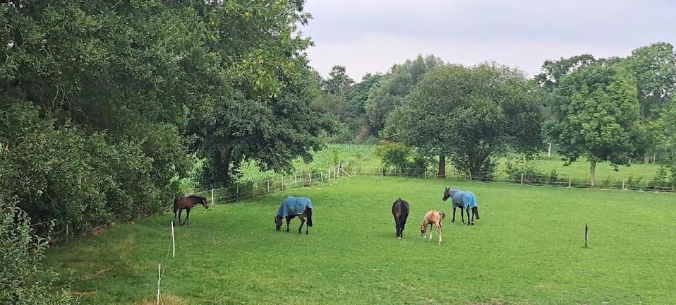 B&B De Blauwe Melkbus Harskamp Kültér fotó